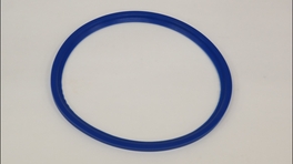 AFDICHTINGSLIPRING 160 S100603
