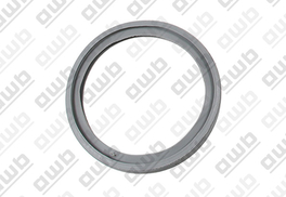 AFDICHTINGSRING 55MM 0020038381