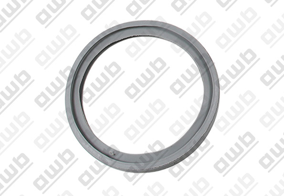 AFDICHTINGSRING 55MM 0020038381 - afb. 1