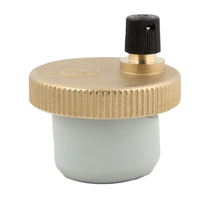 AUTOM. ONTLUCHTER 545-2156