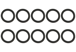 AWB o-ring (x10) tbv Thermomaster 002019