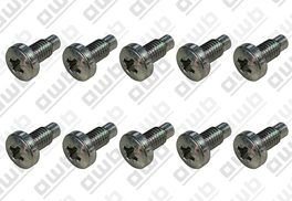 AWB schroef ontstekingspen 0020018435