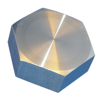 BLINDDOP 2" RVS 2501216