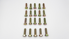 BOUT M16 X 50 20ST. S100115