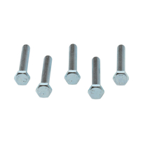 BOUT M8X60 S100541