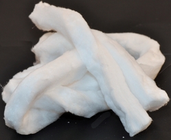 FIBERFRAXSTRIP 87229359850