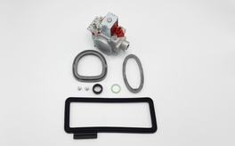 Gasblok Tzerra Ace 28kW Remeha 763998