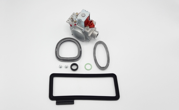 Gasblok Tzerra Ace 28kW Remeha 763998 - afb. 1