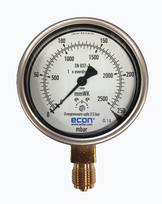 gAvilar manometer 100mm RVS 0-250mbar 1/