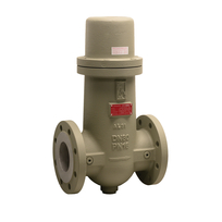 gAvilar stoffilter VZF recht DN80 Thielm