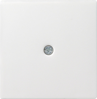 Gira blindplaat snoerafd. GLZ R9010 0274