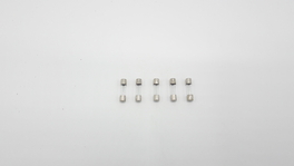 GLASZEKERING 10A TRAAG 5ST. S59430