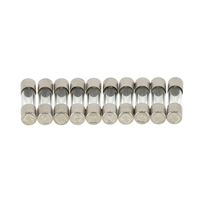 GLASZEKERING 500MA TRA 33967 REMEHA