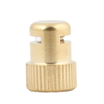 HYGROSCOPISCH KAP ONTLUCHTER 545-215605