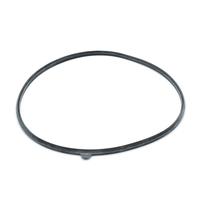 O-RING BRANDERDEUR 545-2539