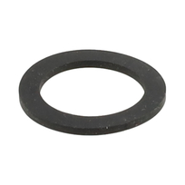 PAKKING RING 30364
