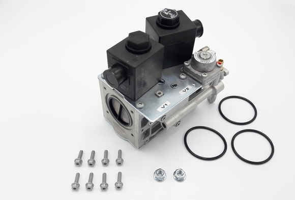 Remeha gasblok 160 7628636 - afb. 1