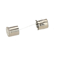 Remeha glaszekering 500 mA traag 33967