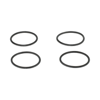 Remeha O-ring venturi tbv Evita S101716