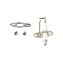 Remeha Ontst./ionisatiepen S58778