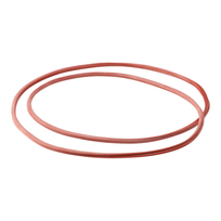 Remeha Pakkingband voorplaat 57241