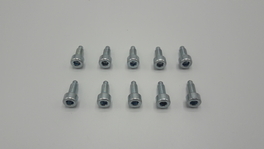 Remeha Schroef m5x15 10st S100836