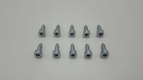 Remeha Schroef m5x15 10st S100836 - afb. 1