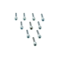 Remeha Schroef m5x25 10st S100951