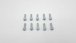 Remeha schroef M8x22 10x 7625030