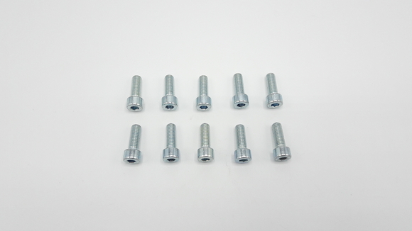 Remeha schroef M8x22 10x 7625030 - afb. 1