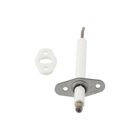 Remeha Vlamsensor 7709845