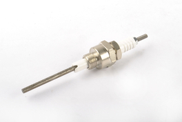 Rendamax electrode ionisatie 64202708