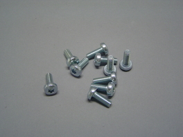 SCHROEF M6X16 10ST. 73971