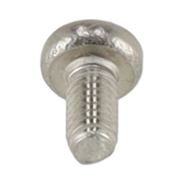 SCHROEF RVS 4X8MM 25265
