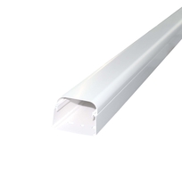 Leidingkanaal, hxb 60x80mm in stuks van 2m, bodemperforatie, kunststof, PVC, wit RAL9010