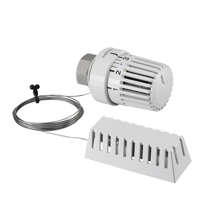 THERM.KOP + CAPP. M30X1 - afb. 2