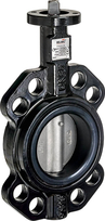 VLINDERKLEP DN65 2.1/2" KVS180 D665