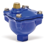 Watts aut.ontluchter MXV 25 1"bi Maxiven