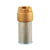 Watts keerklep 2" 60S 149B4105B