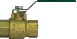 Watts Kogelkraan Bi.dr. 1/2" Serie 100 E
