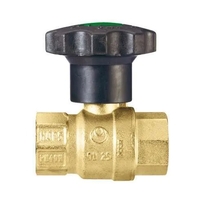 Watts Kogelkraan Bi.dr. 2" + Vertragings