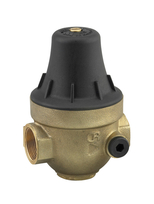 Watts PrecisioM2 drukred.vent. 3/4"-1/2"
