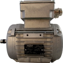 Wolf Thl25 Motor 0,075/0,027 1350/1000 4