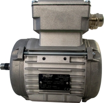 Wolf Thl63 Motor 0,2/0,06 900/700 400 22