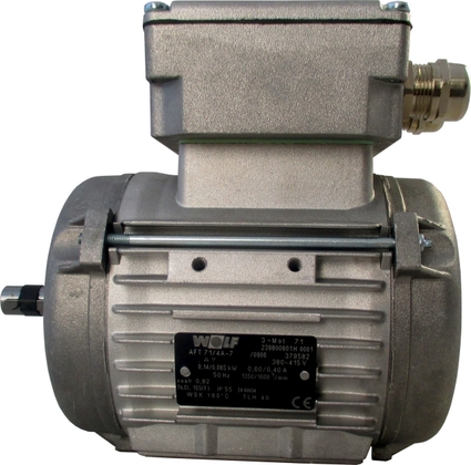 Wolf Thl63 Motor 0,2/0,06 900/700 400 22 - afb. 1